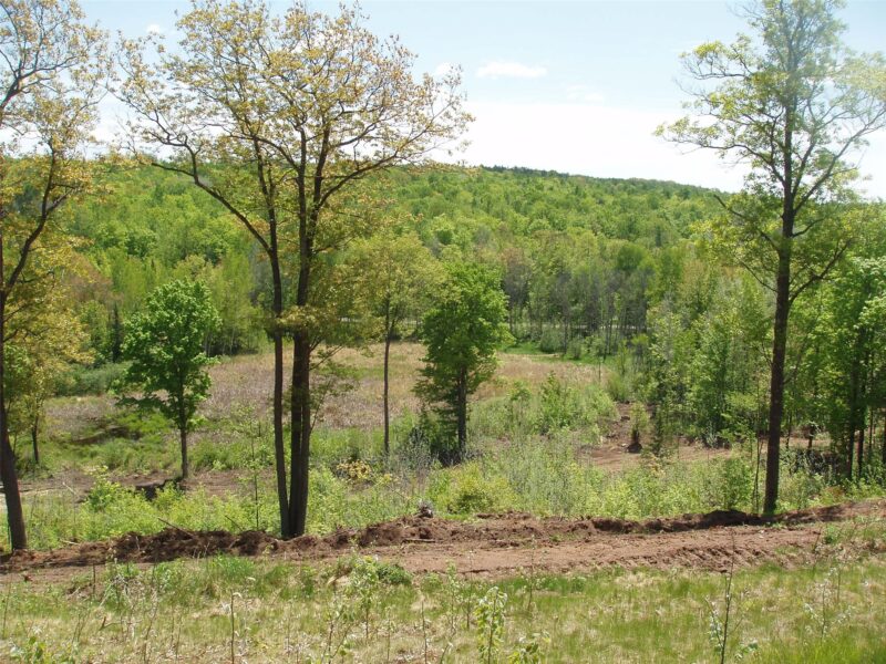 Lot 1 On Highway 169 