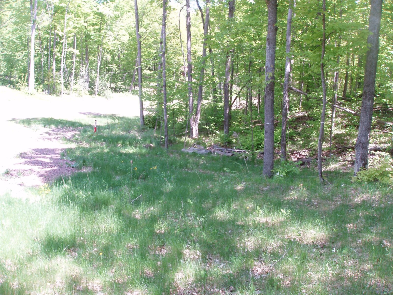 Lot 1 On Highway 169, Mellen, WI — photo 10
