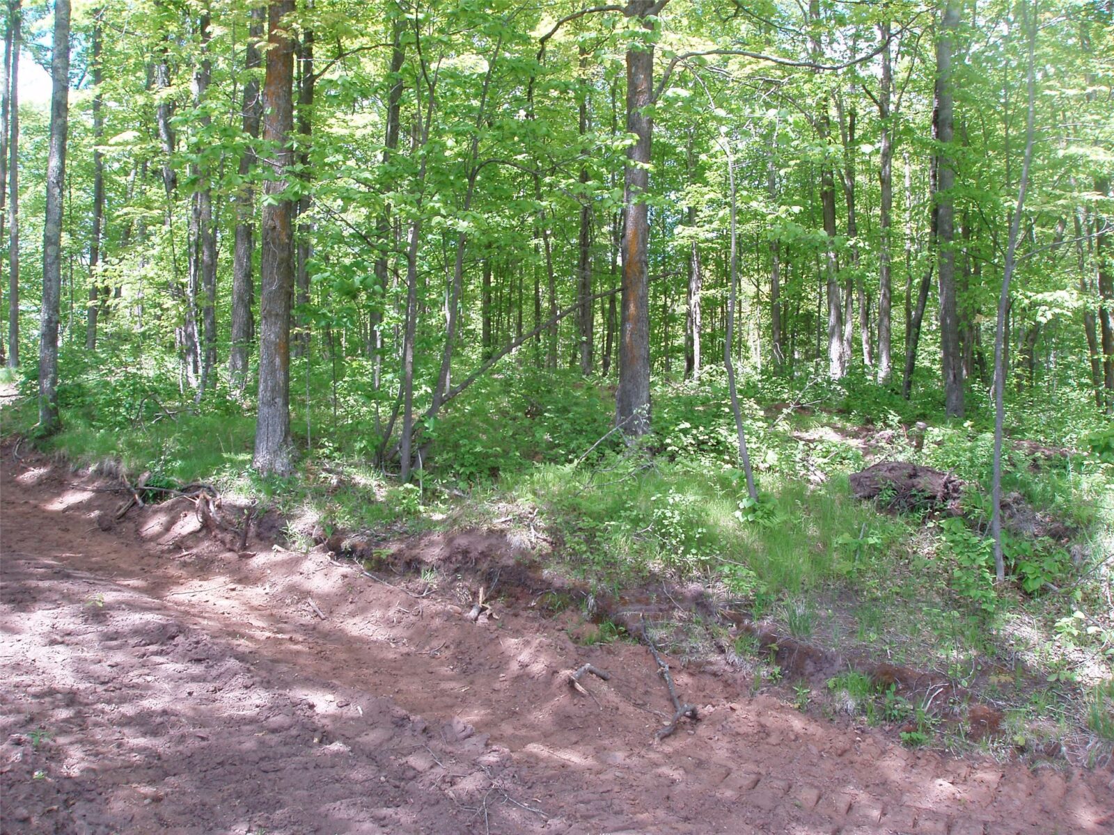 Lot 1 On Highway 169, Mellen, WI — photo 14