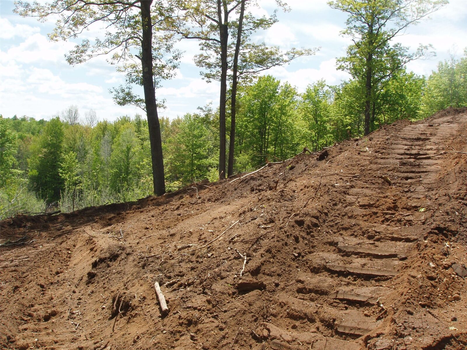 Lot 1 On Highway 169, Mellen, WI — photo 18