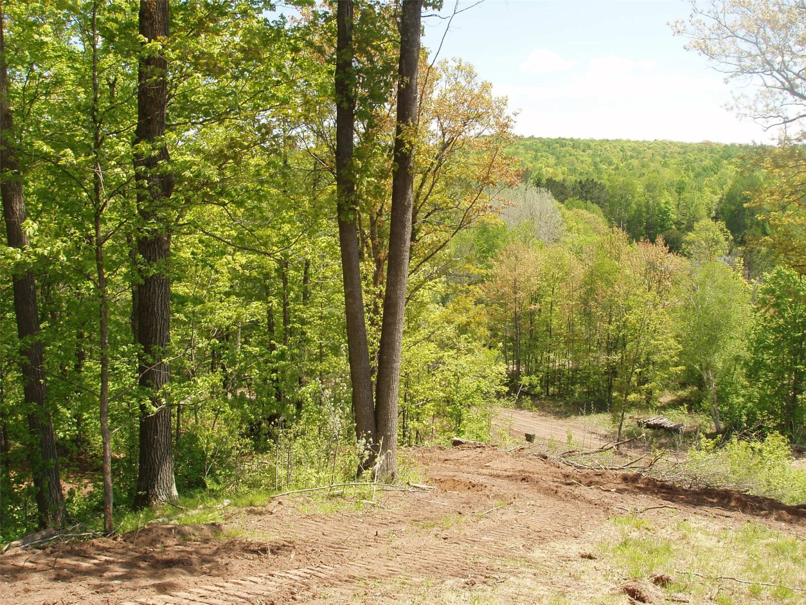 Lot 1 On Highway 169, Mellen, WI — photo 4