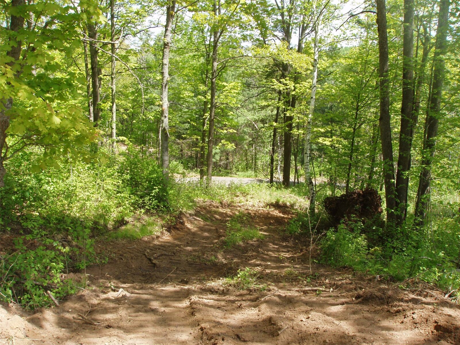 Lot 1 On Highway 169, Mellen, WI — photo 6