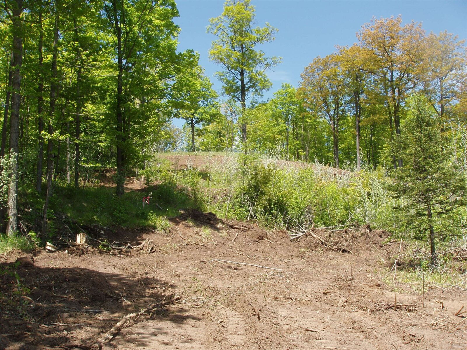 Lot 1 On Highway 169, Mellen, WI — photo 7