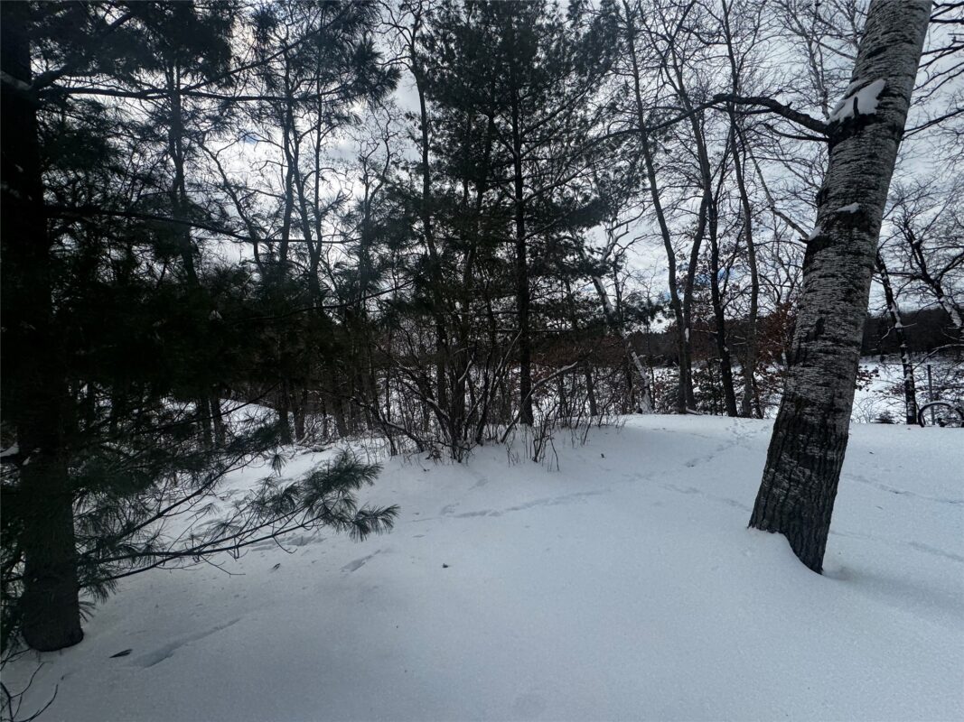Lot 1 Shake Road, Spooner, WI — photo 3