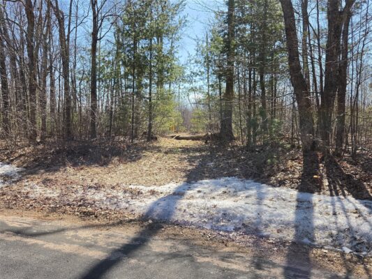 Lot 1 W South Shore Rd Hayward WI 54843 — photo 1