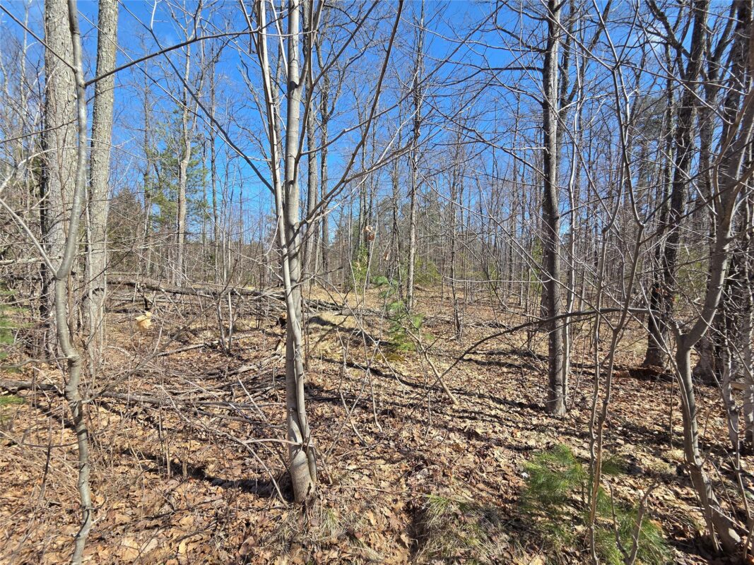 Lot 1 W South Shore Rd Hayward WI 54843 — photo 10