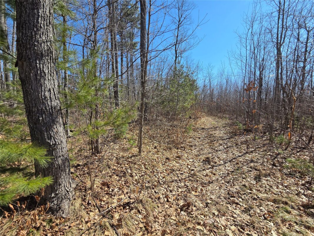 Lot 1 W South Shore Rd Hayward WI 54843 — photo 11