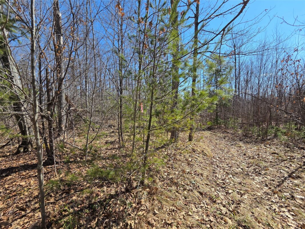 Lot 1 W South Shore Rd Hayward WI 54843 — photo 12