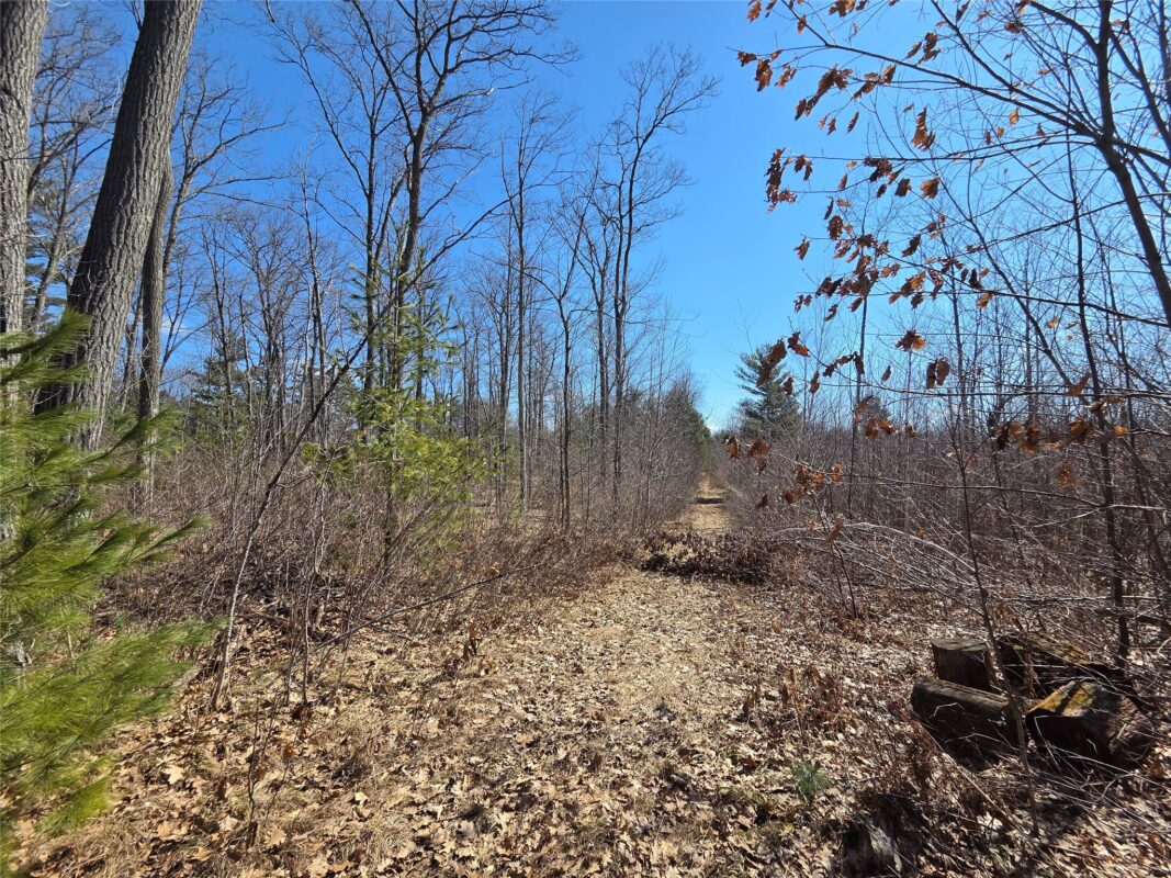 Lot 1 W South Shore Rd Hayward WI 54843 — photo 13