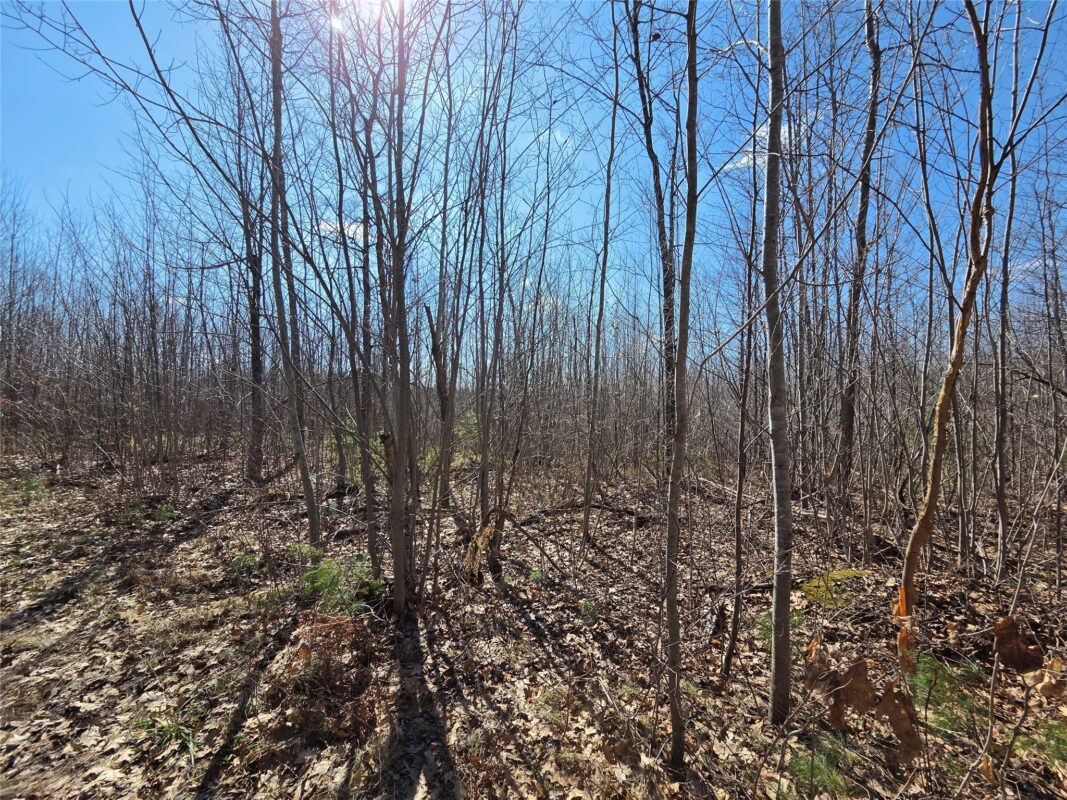Lot 1 W South Shore Rd Hayward WI 54843 — photo 14