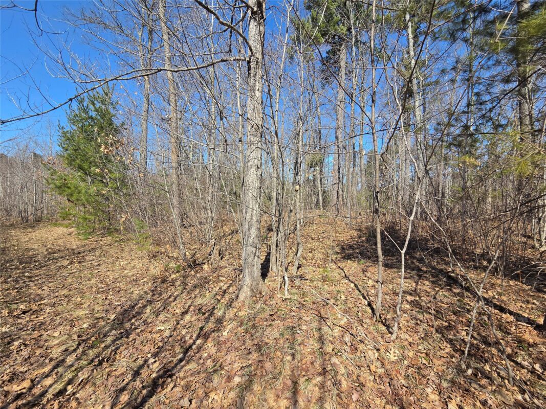 Lot 1 W South Shore Rd Hayward WI 54843 — photo 15