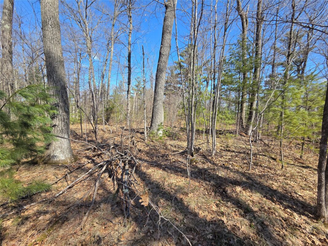 Lot 1 W South Shore Rd Hayward WI 54843 — photo 16