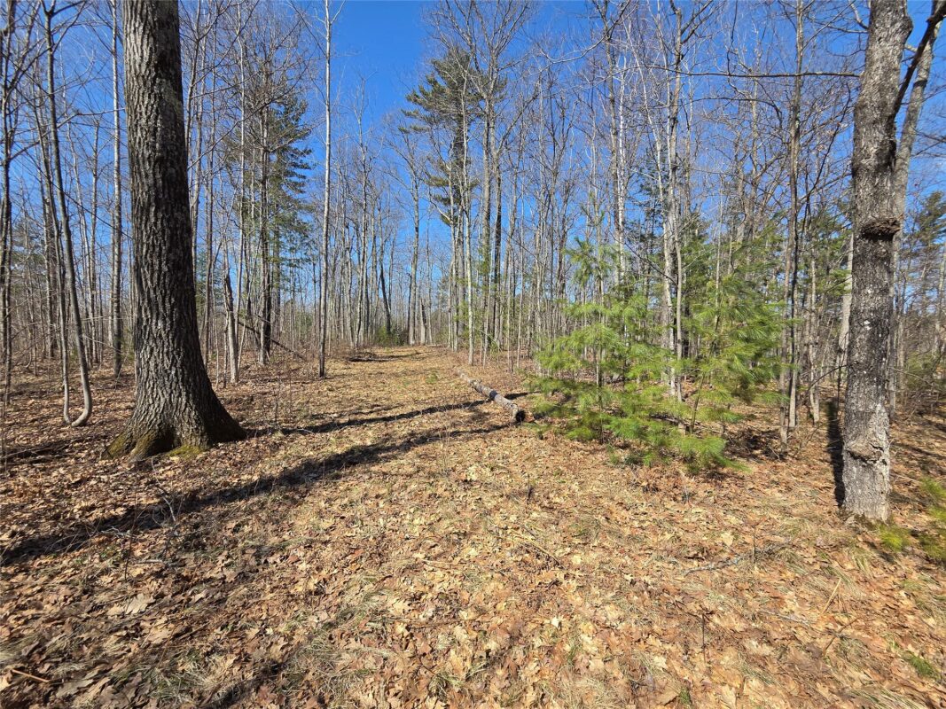 Lot 1 W South Shore Rd Hayward WI 54843 — photo 17