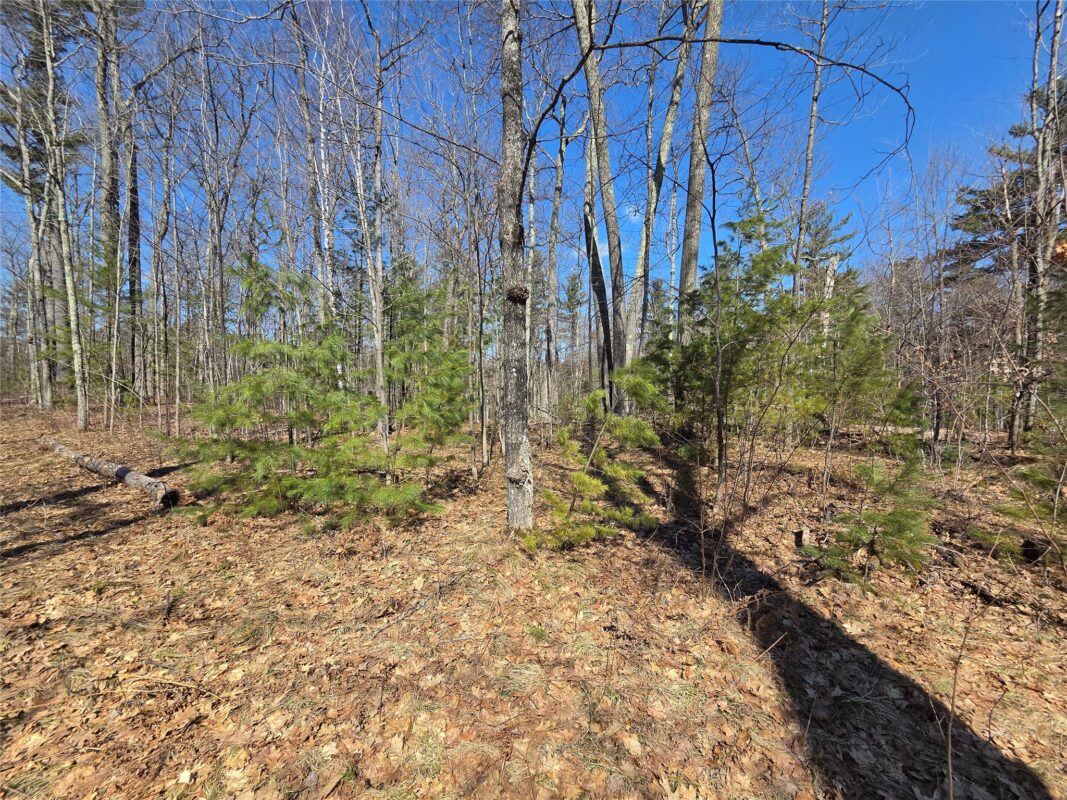 Lot 1 W South Shore Rd Hayward WI 54843 — photo 18