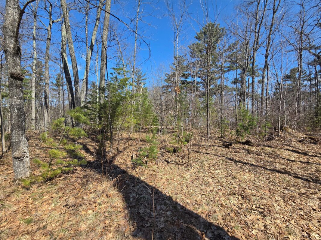 Lot 1 W South Shore Rd Hayward WI 54843 — photo 19