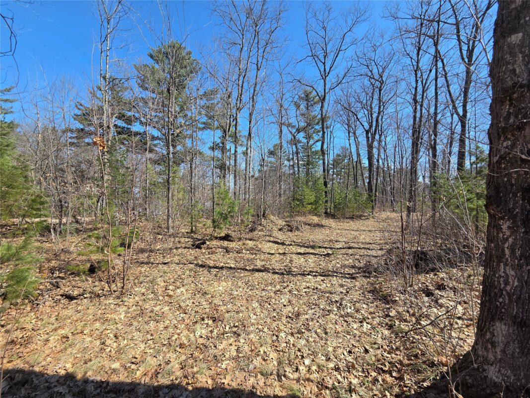 Lot 1 W South Shore Rd Hayward WI 54843 — photo 20