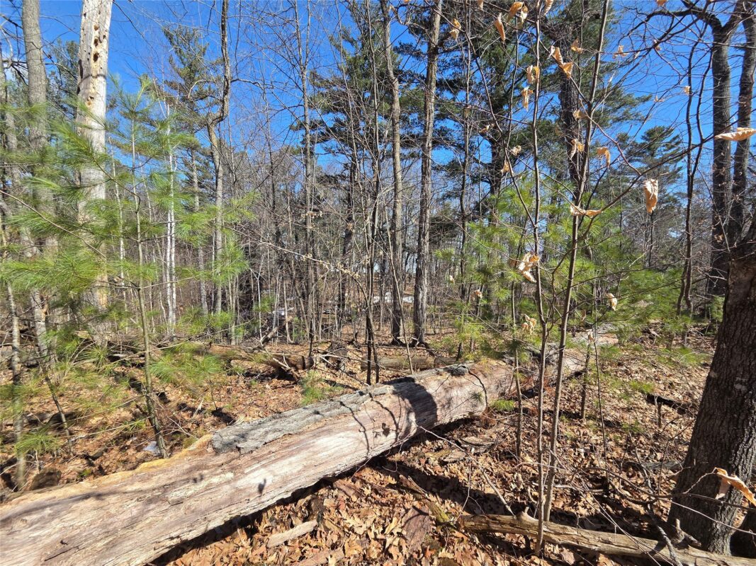 Lot 1 W South Shore Rd Hayward WI 54843 — photo 21
