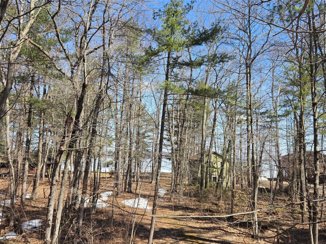 Lot 1 W South Shore Rd Hayward WI 54843 — photo 22