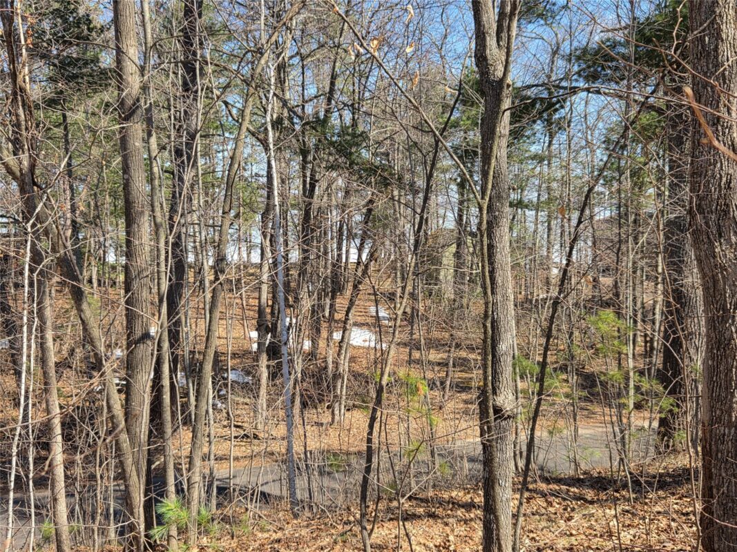 Lot 1 W South Shore Rd Hayward WI 54843 — photo 23
