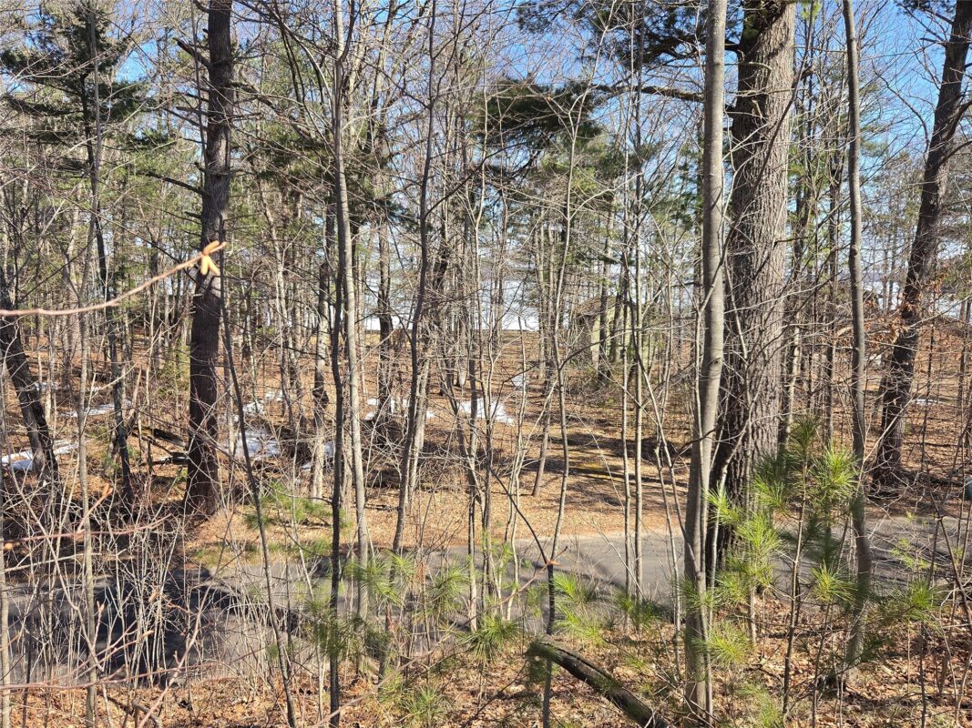 Lot 1 W South Shore Rd Hayward WI 54843 — photo 24