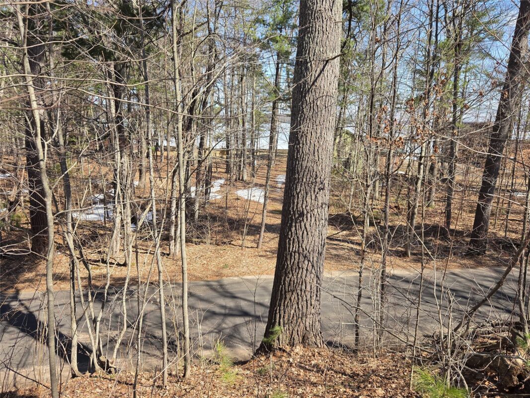 Lot 1 W South Shore Rd Hayward WI 54843 — photo 25