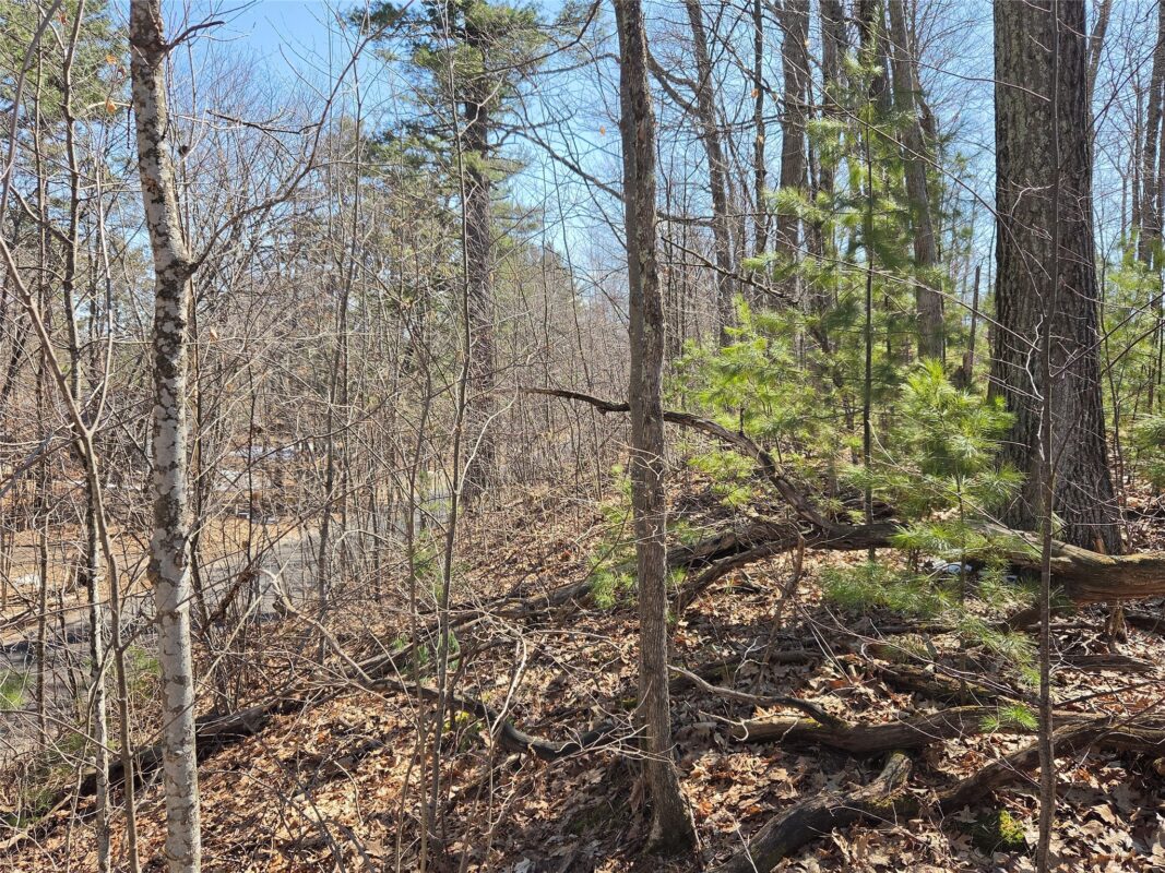 Lot 1 W South Shore Rd Hayward WI 54843 — photo 26