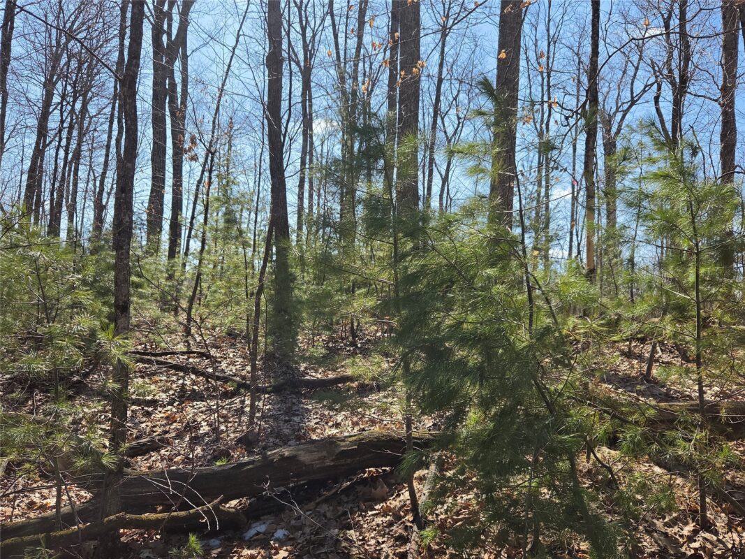 Lot 1 W South Shore Rd Hayward WI 54843 — photo 27