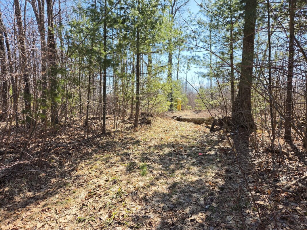 Lot 1 W South Shore Rd Hayward WI 54843 — photo 3
