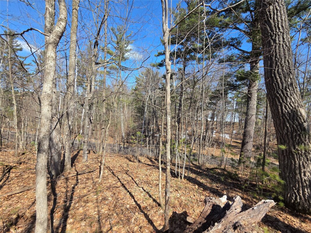 Lot 1 W South Shore Rd Hayward WI 54843 — photo 30