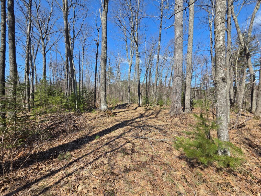 Lot 1 W South Shore Rd Hayward WI 54843 — photo 31