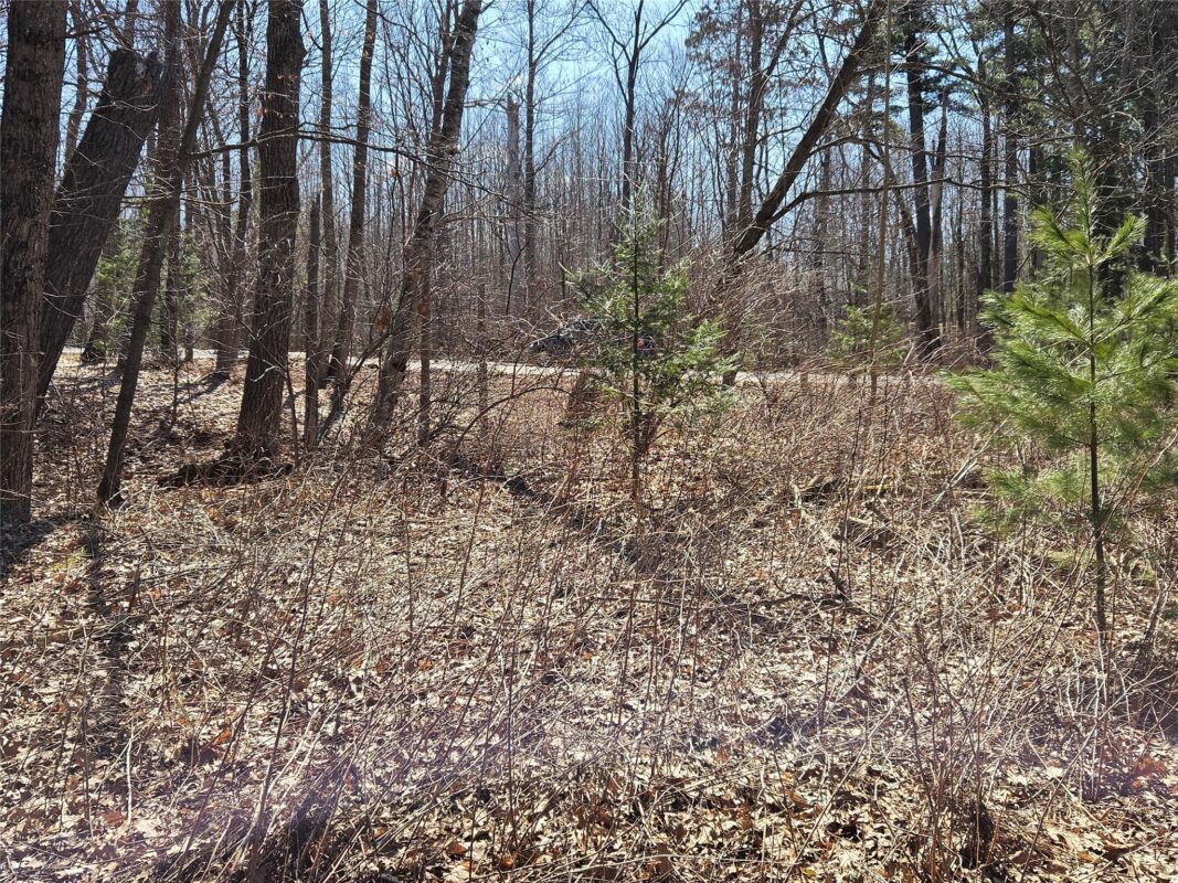 Lot 1 W South Shore Rd Hayward WI 54843 — photo 36