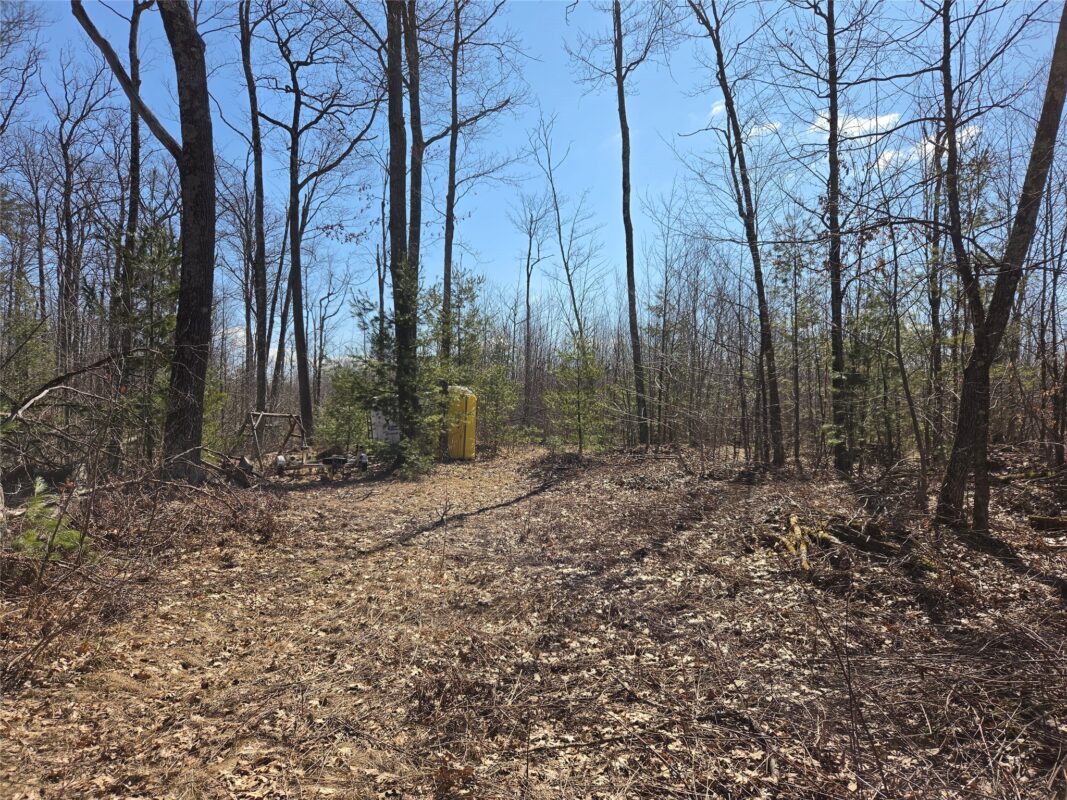 Lot 1 W South Shore Rd Hayward WI 54843 — photo 4