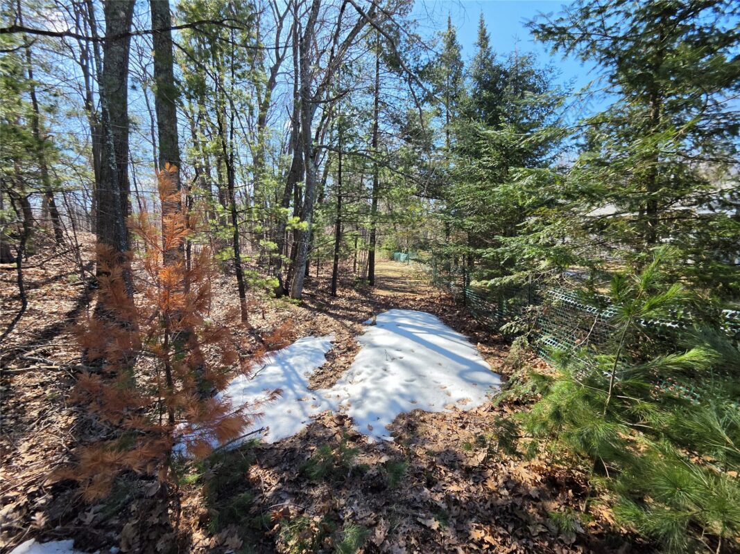 Lot 1 W South Shore Rd Hayward WI 54843 — photo 47