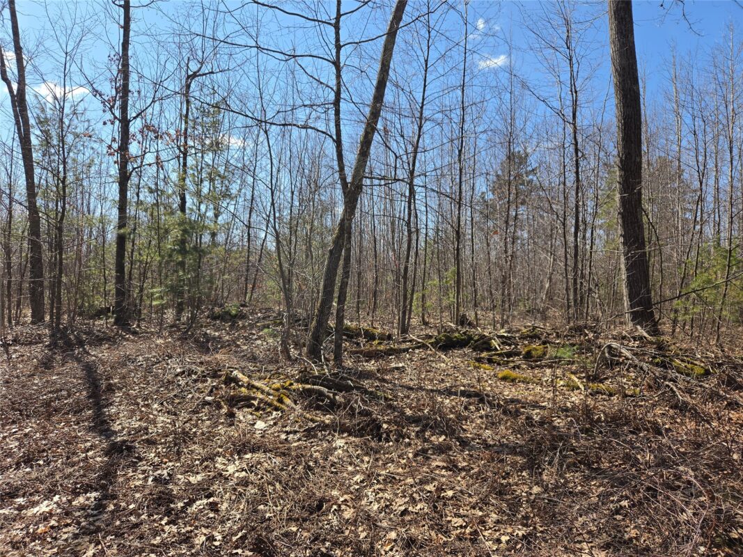 Lot 1 W South Shore Rd Hayward WI 54843 — photo 5