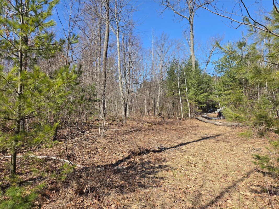 Lot 1 W South Shore Rd Hayward WI 54843 — photo 6