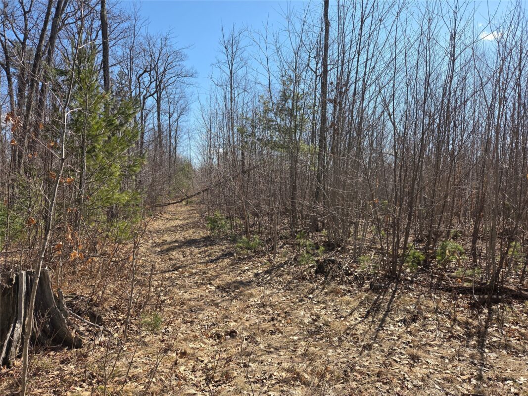 Lot 1 W South Shore Rd Hayward WI 54843 — photo 7