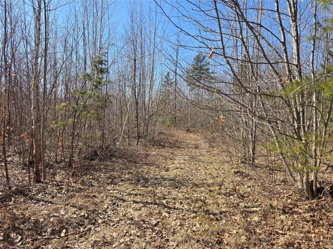 Lot 1 W South Shore Rd Hayward WI 54843 — photo 8
