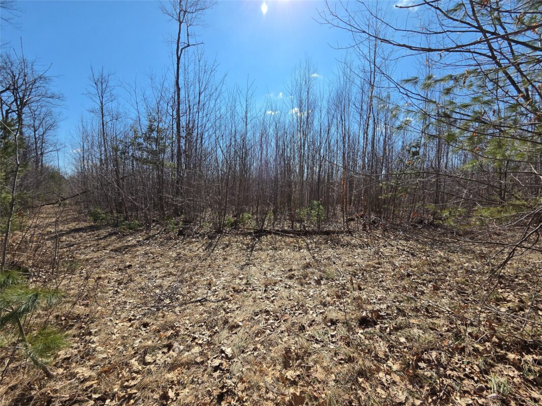 Lot 1 W South Shore Rd Hayward WI 54843 — photo 9
