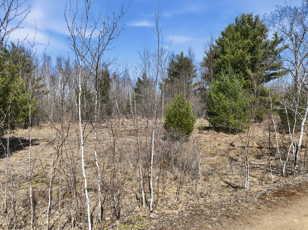 Land at Lot 13 10 1/4 Avenue, Chetek, WI 54728 — photo 19