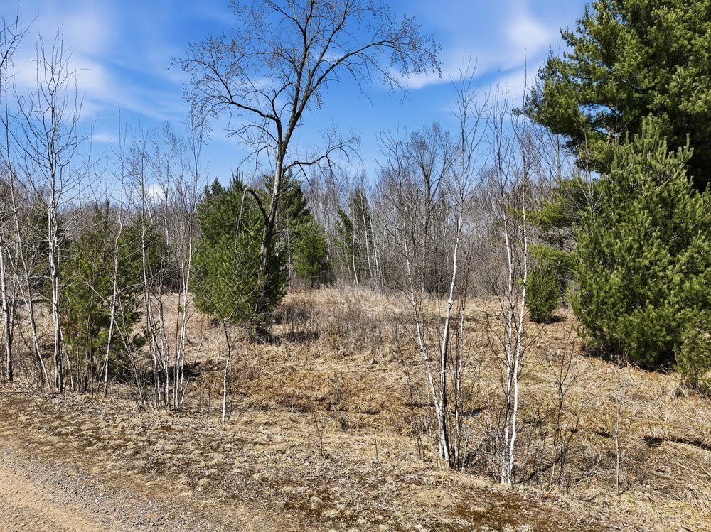 Land at Lot 13 10 1/4 Avenue, Chetek, WI 54728 — photo 2