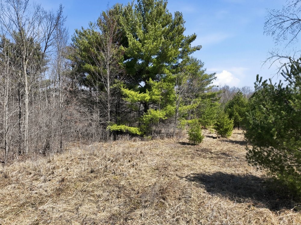 Land at Lot 13 10 1/4 Avenue, Chetek, WI 54728 — photo 20
