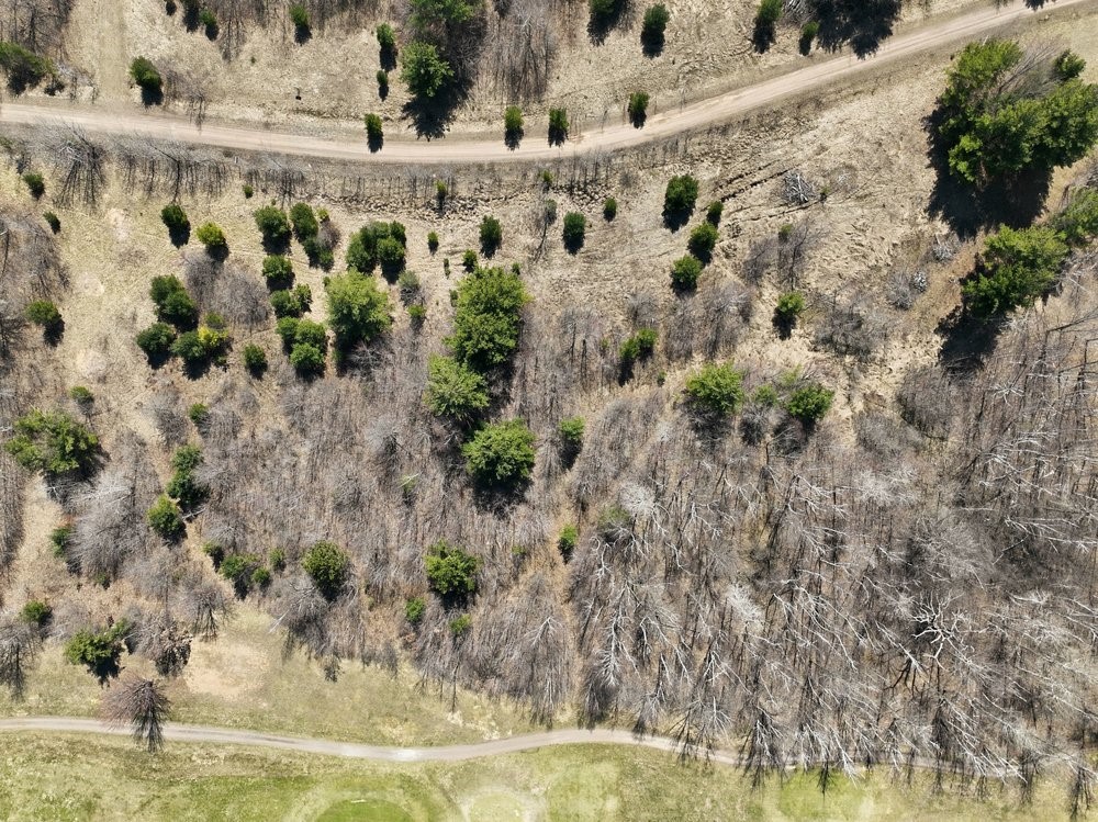 Land at Lot 13 10 1/4 Avenue, Chetek, WI 54728 — photo 22