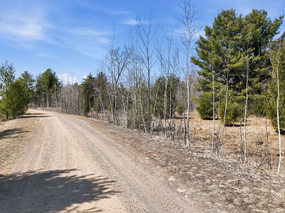 Land at Lot 13 10 1/4 Avenue, Chetek, WI 54728 — photo 3