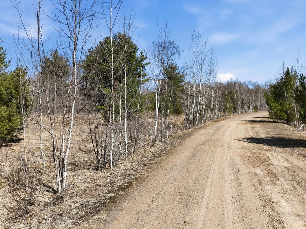 Land at Lot 13 10 1/4 Avenue, Chetek, WI 54728 — photo 4