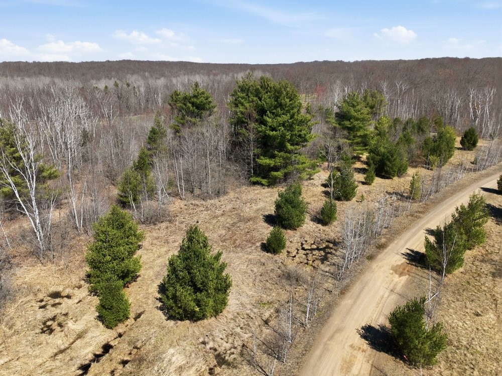 Land at Lot 13 10 1/4 Avenue, Chetek, WI 54728 — photo 6