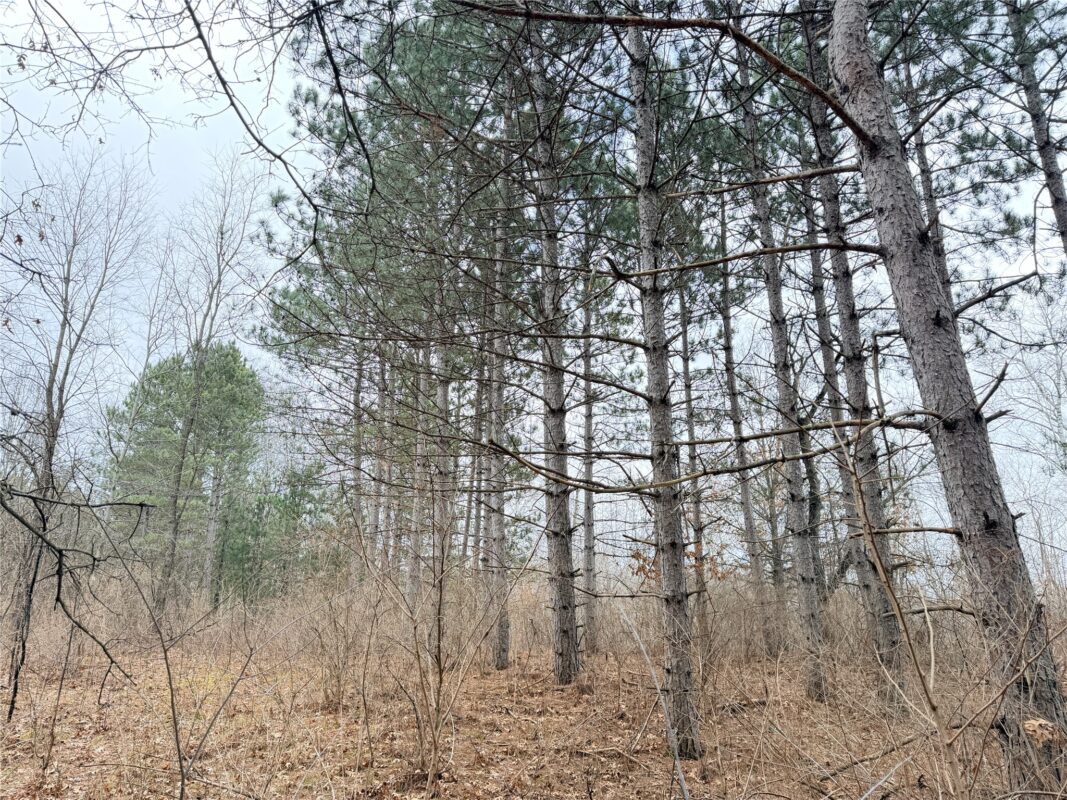 Lot 2 Big Lake Drive Osceola WI 54020 — photo 10