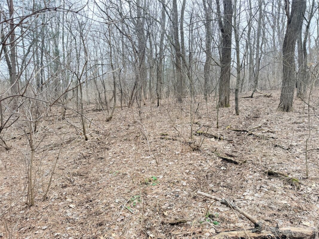 Lot 2 Big Lake Drive Osceola WI 54020 — photo 11
