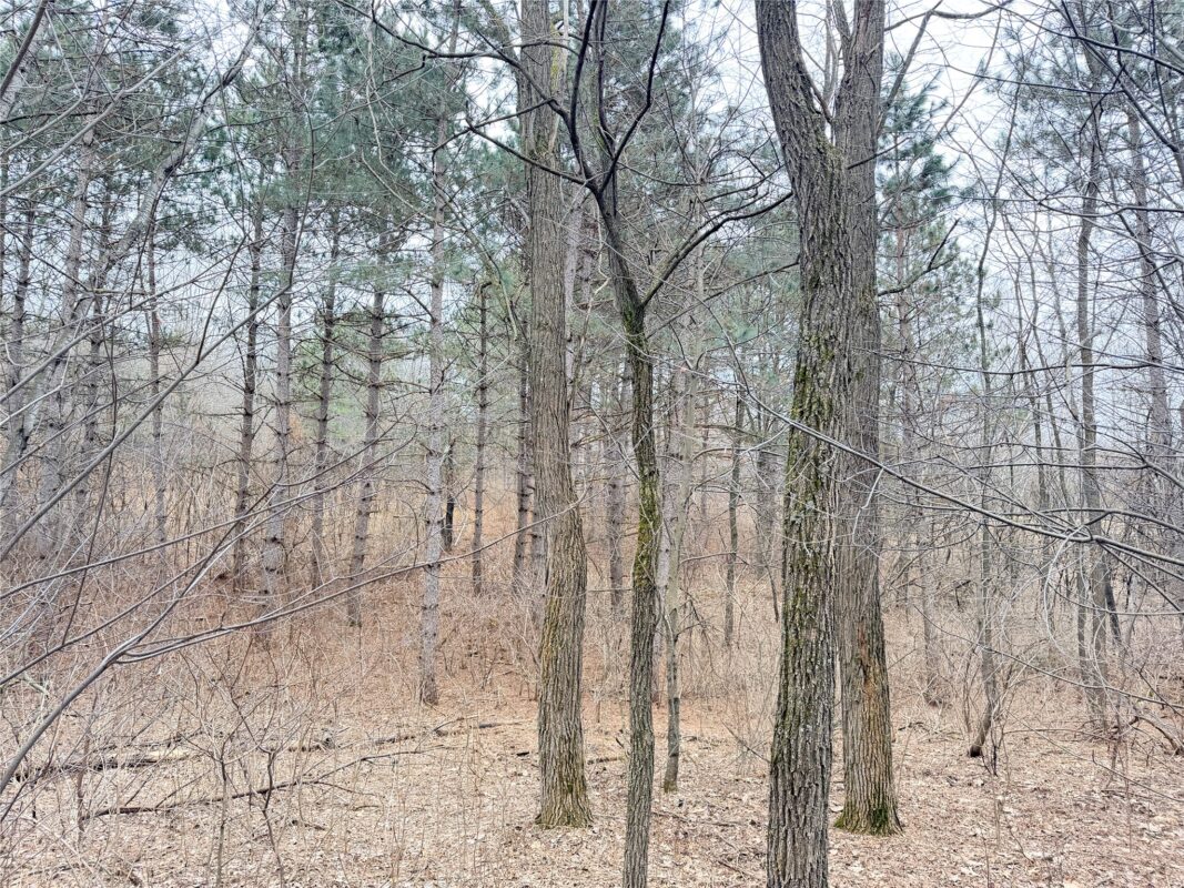 Lot 2 Big Lake Drive Osceola WI 54020 — photo 12