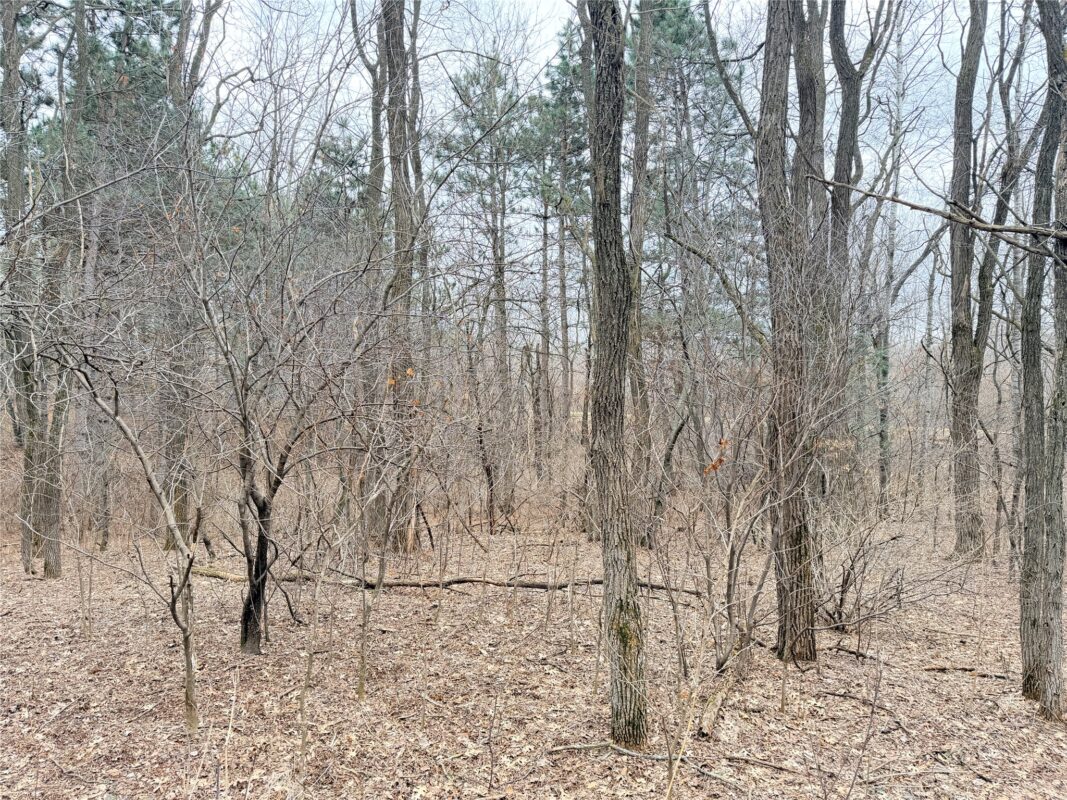 Lot 2 Big Lake Drive Osceola WI 54020 — photo 13