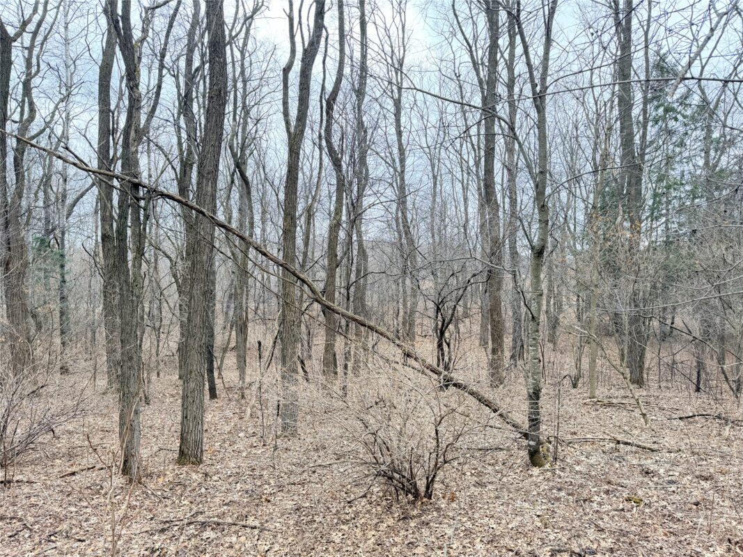 Lot 2 Big Lake Drive Osceola WI 54020 — photo 14